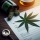 Le canton de Vaud autorise la vente régulée de cannabis
