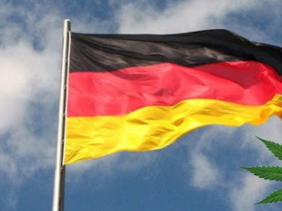 Le cannabis médical cultivé en Allemagne est disponible pour la première fois
